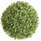 Northlight; 9" Green Outdoor Garden Artificial Boxwood Ball; Category:Artificial Trees; Image:2
